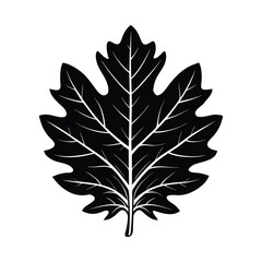 Fototapeta premium Black silhouette of an oak leaf with white veins on a white background