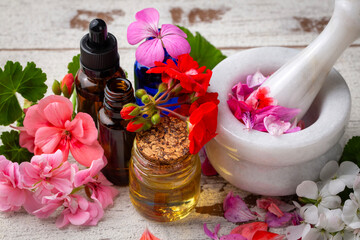 Geranium flower and geranium essential oil