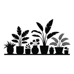 Collection of silhouetted potted houseplants on a shelf