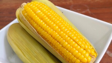 Close up image of fresh boiled corn on the cob, with bright yellow kernels and green husks, served on a white plate.