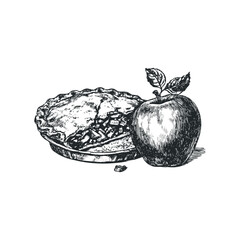 Hand drawn sketch of whole apple pie and fresh apple on white background