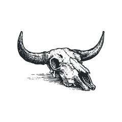 Detailed black and white sketch of a bull skull with long, curved horns