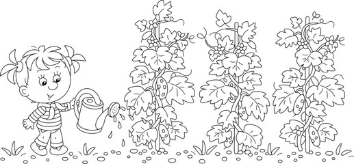 Happy little girl gardener watering cucumber plants in her summer kitchen garden, black and white vector cartoon illustration for a coloring book