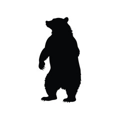 Silhouette of a majestic bear standing tall and looking towards the future, bear standing hind legs silhouette vector illustration