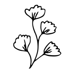 Hand drawn simple botanical f...