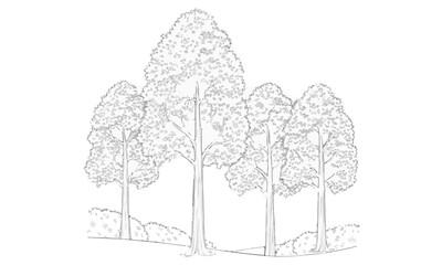 Tree Root System Cross-Section Vector Urban Landscaping, Arboriculture & Soil Illustration