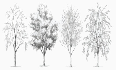 Obraz premium Tree Root System Cross-Section Vector Urban Landscaping, Arboriculture & Soil Illustration
