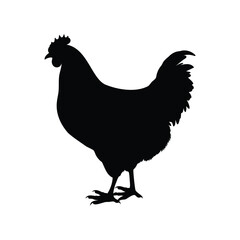 A striking silhouette of a chicken against a crisp white background, farm life, chicken silhouette vector illustration