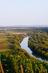 Fototapeta premium Weinlandschaft, Unterfranken