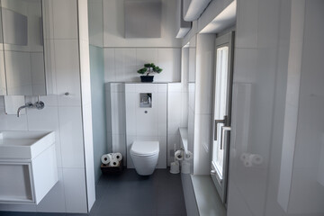 contemporary bathroom showcasing a sleek white toilet, a modern wash basin, a decorative plant in a...