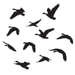 Whisk_guzzjzizdi_traced