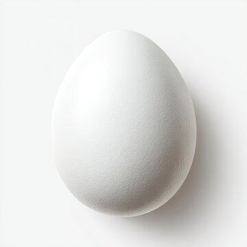 A single, pristine white chicken egg rests on a stark white background, subtly shadowed below