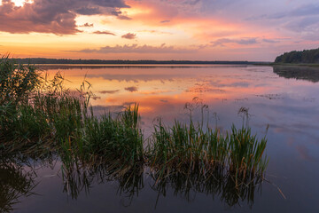 beautiful foggy morning after rain on the lake