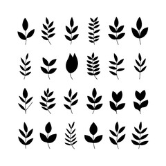 Variety of leaf illustrations displayed in a grid pattern, showcasing different shapes and designs on a plain background