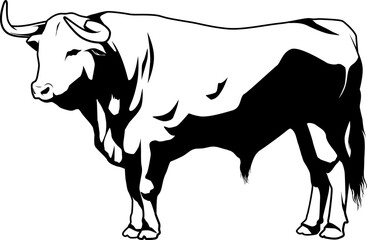 Schwarz-Weiß Illustration eines stehenden Stieres in entspannter Pose
