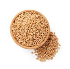 Wheat grains in bowl isolated on white, top view