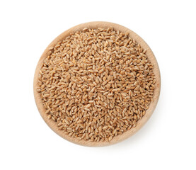 Wheat grains in bowl isolated on white, top view