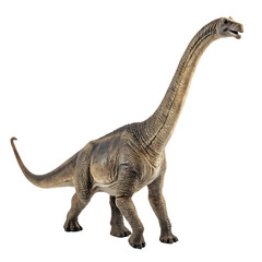 Obraz premium The tall Brachiosaurus a sauropod dinosaur isolated on a transparent background png