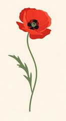 Obraz premium Photo of a single red poppy flower with a delicate stem and leaves on a light
