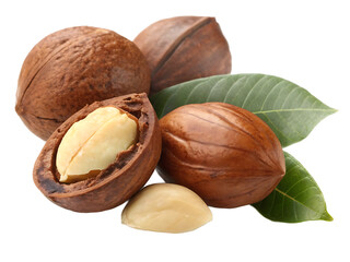 Macadamia Nuts with Shells and Kernels Close Up Studio Shot Isolated on Black Background Perfect for Healthy Eating