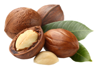 Macadamia Nuts with Shells and Kernels Close Up Studio Shot Isolated on Black Background Perfect for Healthy Eating