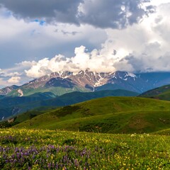 Fototapeta premium Mountain meadow landscape