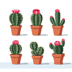 A collection of six beautifully blooming desert cacti potted for indoor decoration and gardening enthusiasts