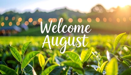 Welcoming August in a Green Tea Field at Sunset