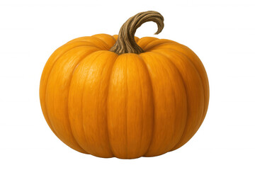Obraz premium Vibrant orange pumpkin featuring curling stem, sitting against transparent backdrop, representing seasonal harvest and festive halloween spirit