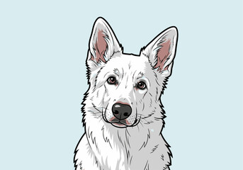 A beautiful white Swiss Shepherd dog with a cute face and alert expression.