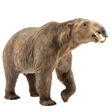 The giant ground sloth Eremotherium a prehistoric megafauna isolated on a transparent background png