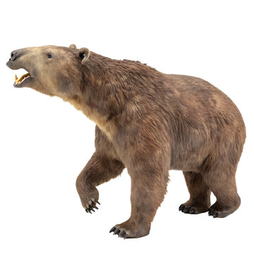 An Eremotherium a giant ground sloth prehistoric mammal isolated on a transparent background png