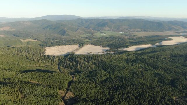 Aerial view of a forest with clear cut areas in a mountainous landscape