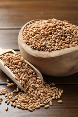 Wheat grains in bowl and scoop on wooden table, closeup