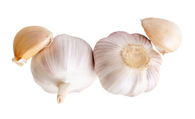 Top view of two garlic bulbs and two garlic cloves in heap isolated on white background with clipping path