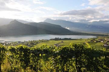 Landschaft, Weinanbau, Südtirol