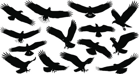 Black flying eagle silhouette collection set isolated on white background, bird of prey vector illustration, wild animal wings spread design