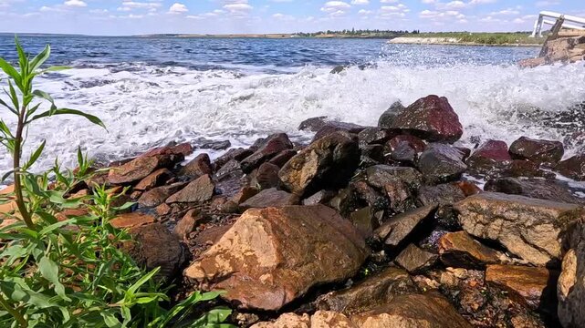 The Khadzhibey Estuary, dirty water from Odessa city treatment facilities is discharged