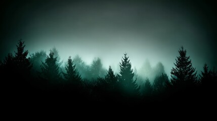 Naklejka premium A dense fog envelops a serene coniferous forest, with silhouettes of trees emerging through the mist,