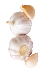 Top view of two garlic bulbs and two garlic cloves in heap isolated on white background with clipping path
