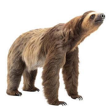 The large prehistoric Megatherium giant ground sloth isolated on a transparent background png