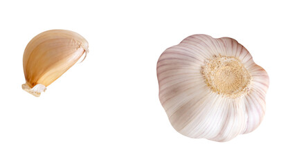 Top view set of one unpeeled garlic bulb and one garlic clove isolated on white background with clipping path