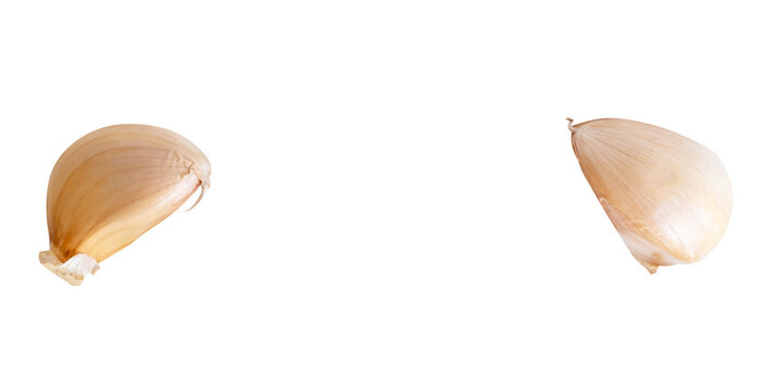 Top view set of two unpeeled garlic cloves isolated with clipping path in png file format