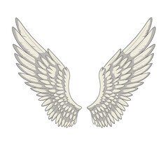 Obraz premium Illustrative angel wings with detailed feathers in soft colors 