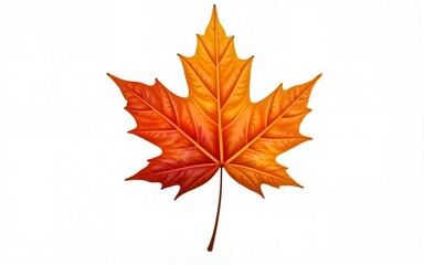 An autumn maple leaf isolated on a transparent background, a png stock photo file. High quality