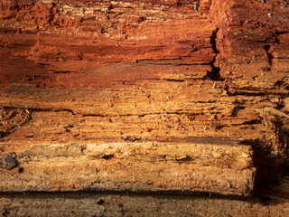 Detailed Close-Up of an Old Wood Texture.