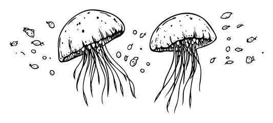 two jellyfish swimming with bubbles black and white vector illustration © Kaz