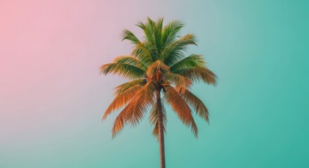 Vibrant palm tree silhouette against a gradient pink and teal sky perfect for tropical vibes