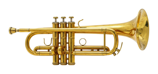 Brass instrument performance music studio indoor artistic expression isolated PNG