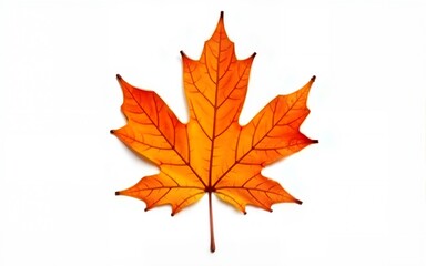 Vibrant orange maple leaf isolated on white background, showcasing autumn's beauty. High quality